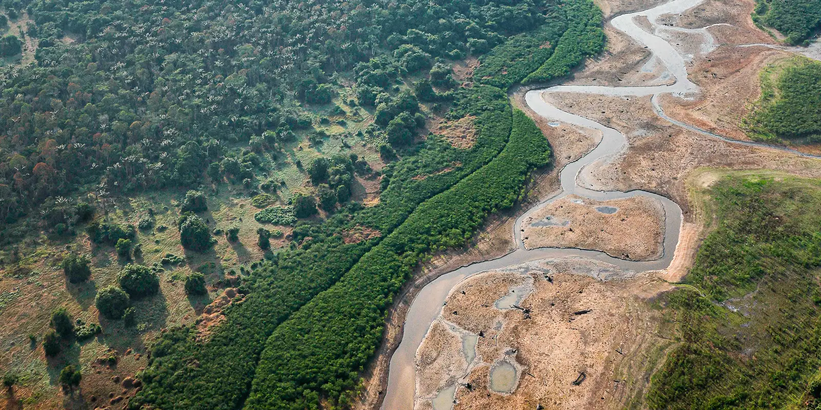 Pesquisa com bactérias na Amazônia pode desenvolver novos medicamentos